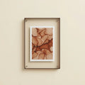 Brown Aura Floating Frame in Translucent Acrylic